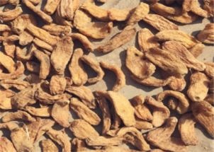 天麻的功效、食用方法與禁忌人群